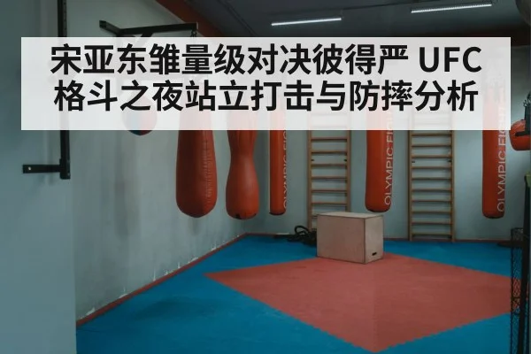 boxing punch training gym（hth）